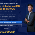 Khóa Học SEO All In One Nâng Cao
