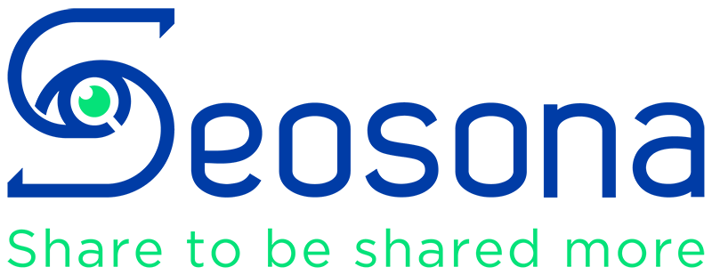 Seosona – Google Marketing Agency Số 1 Việt Nam
