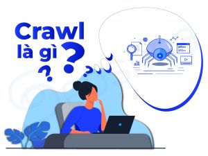 Crawler là gì? 7 yếu tố ảnh hưởng đến Crawler website 2025 88 crawl la gi