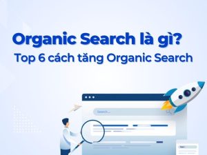 Organic Search là gì? Hướng dẫn toàn diện về tìm kiếm tự nhiên (Organic Search) 55 blog organic search là gì?