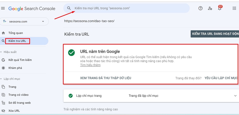 Google index là gì? 8 cách giúp Google index website siêu nhanh 12 Kiểm tra Google index bằng Google Search Console