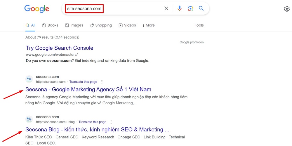 Google index là gì? 8 cách giúp Google index website siêu nhanh 10 Ví dụ về Google index của website Seosona