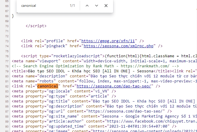 Canonical là gì? Cách sử dụng thẻ Canonical URL hiệu quả trong SEO 34 CN15