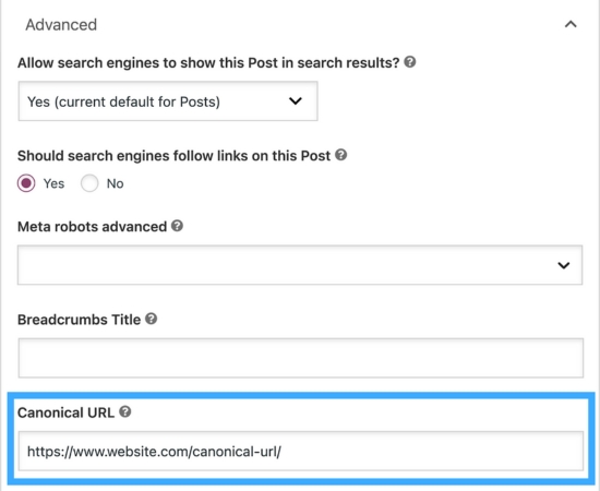 Canonical là gì? Cách sử dụng thẻ Canonical URL hiệu quả trong SEO 25 CN2