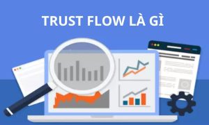 Trust Flow là gì