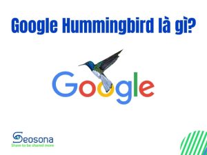 Google Hummingbird là gì