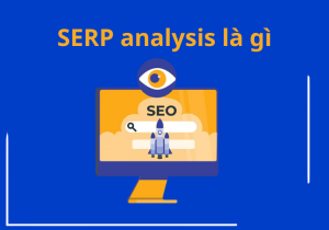 SERP analysis la gi