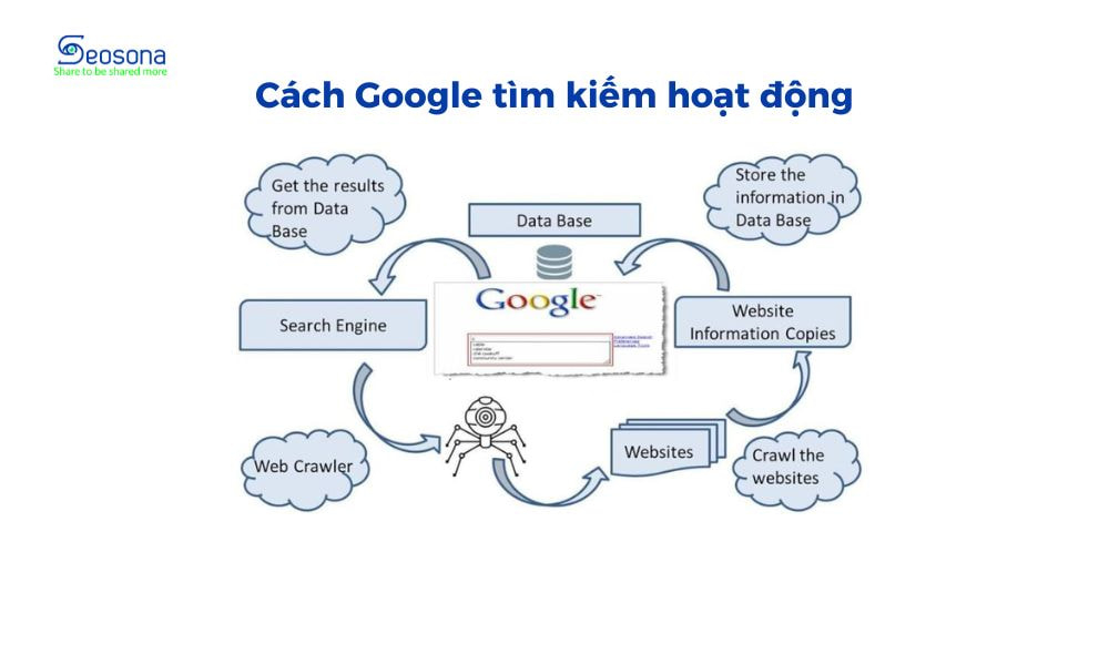 cach google tim kiem hoat dong seosona.com