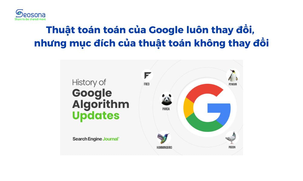 thuat toan toan cua google seosona.com