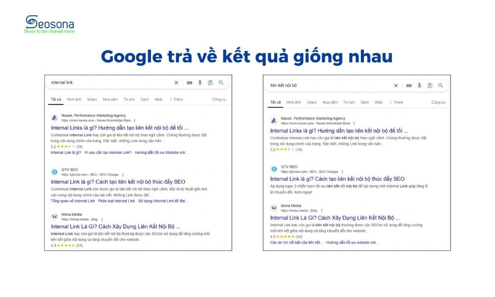 vi du search intent seosona.com